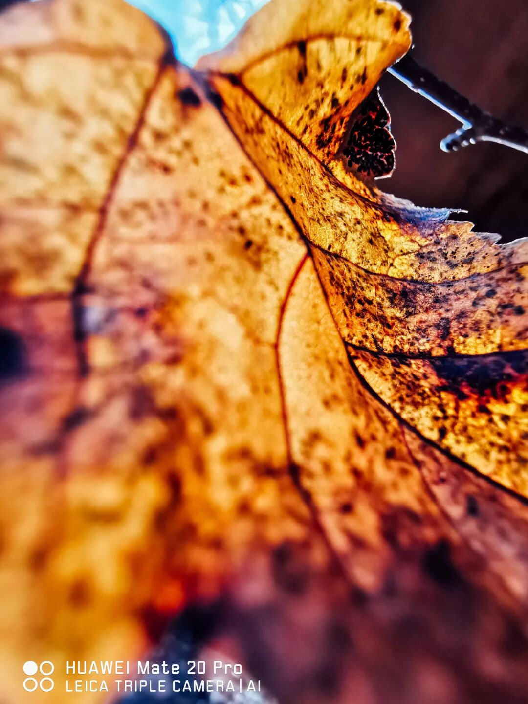 2018，華為手機中的精彩瞬間 科技 第22張