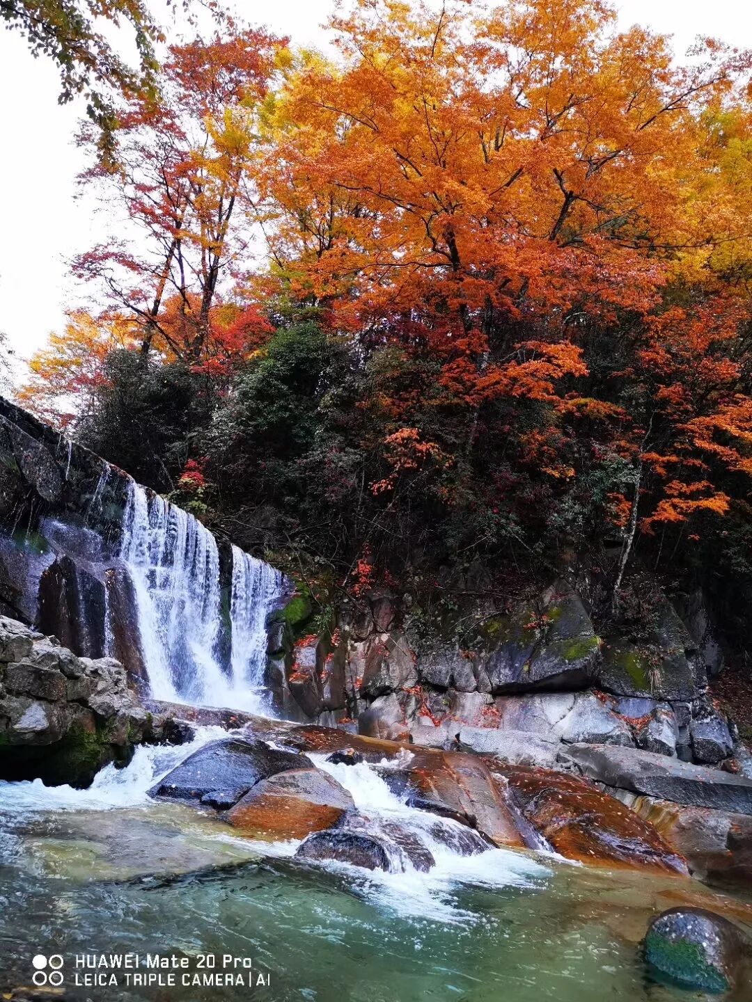 2018，華為手機中的精彩瞬間 科技 第25張