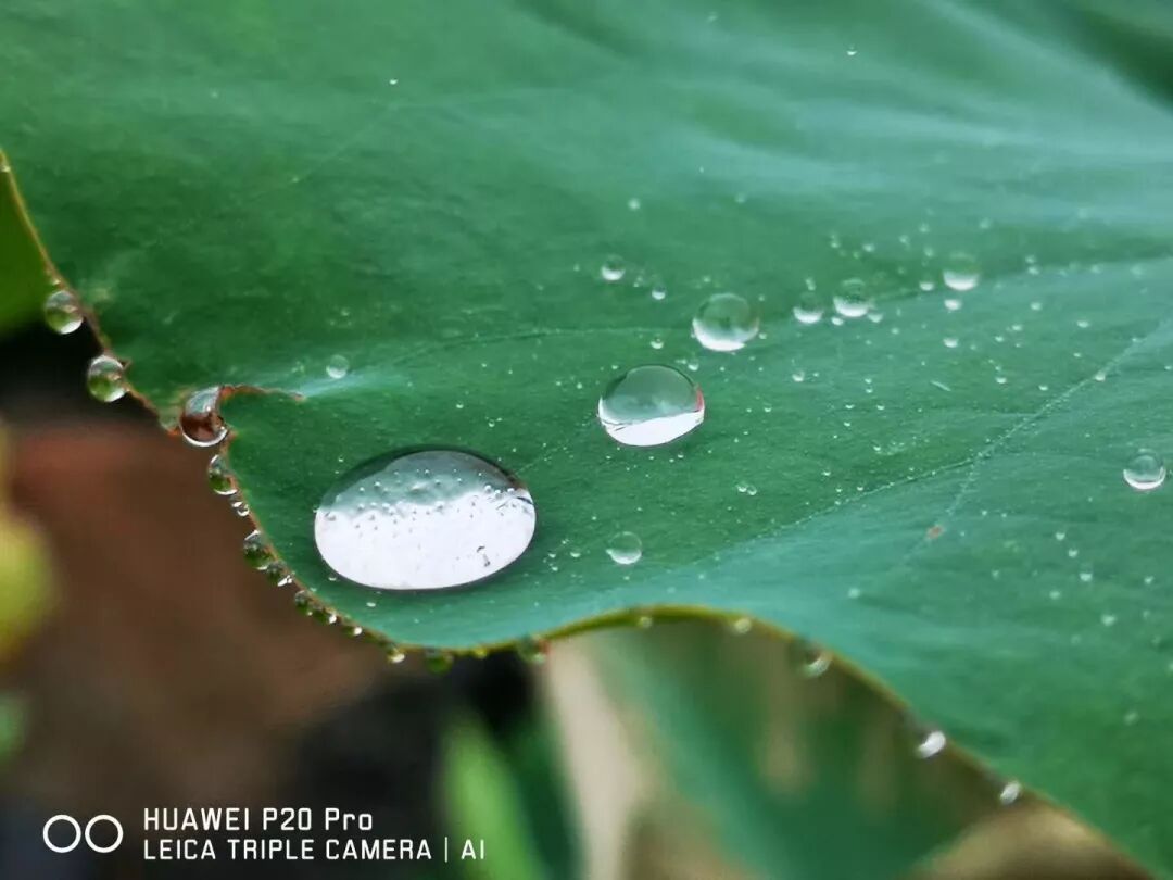 2018，華為手機中的精彩瞬間 科技 第11張
