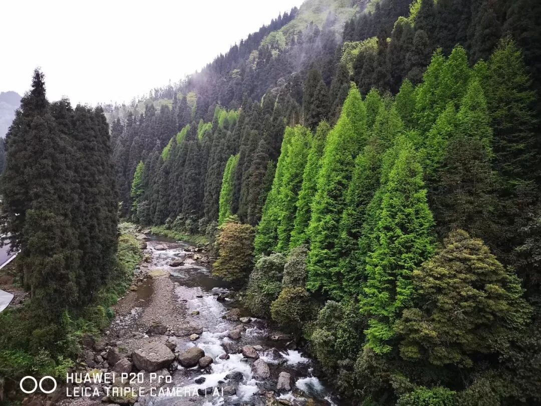 2018，華為手機中的精彩瞬間 科技 第66張