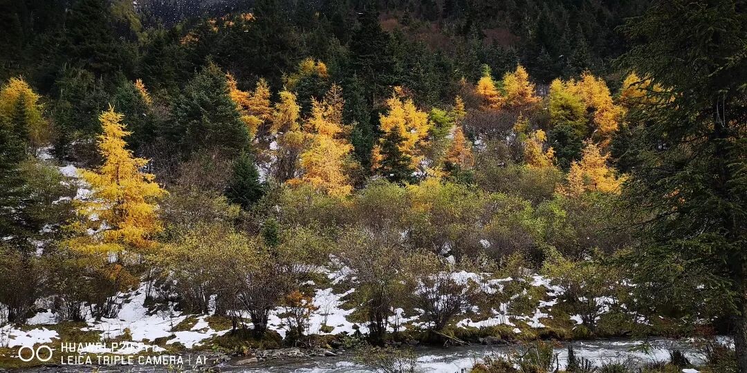 2018，華為手機中的精彩瞬間 科技 第18張