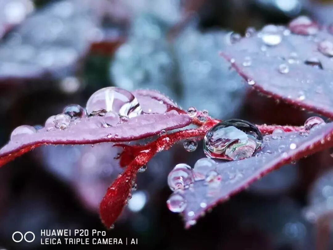 2018，華為手機中的精彩瞬間 科技 第3張