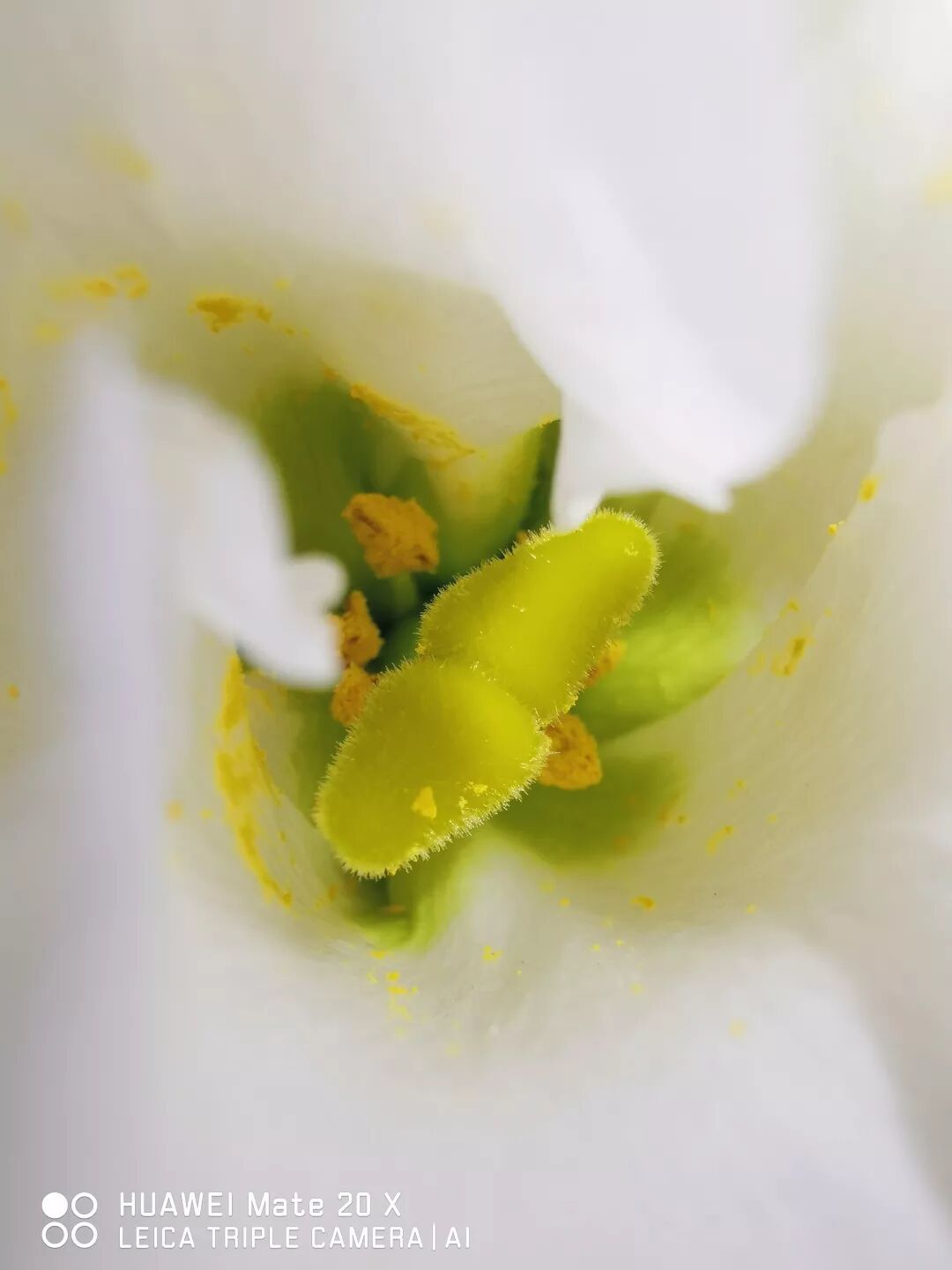 2018，華為手機中的精彩瞬間 科技 第4張