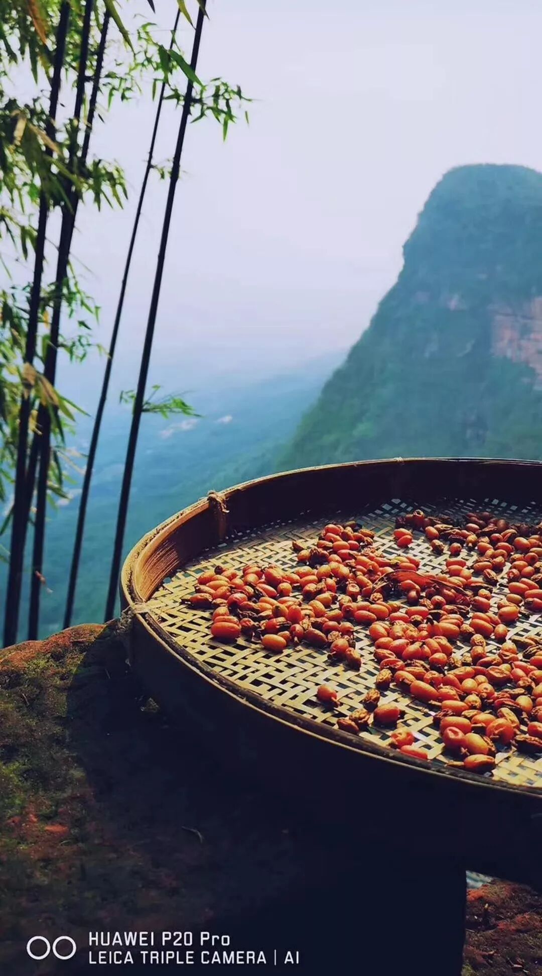 2018，華為手機中的精彩瞬間 科技 第64張