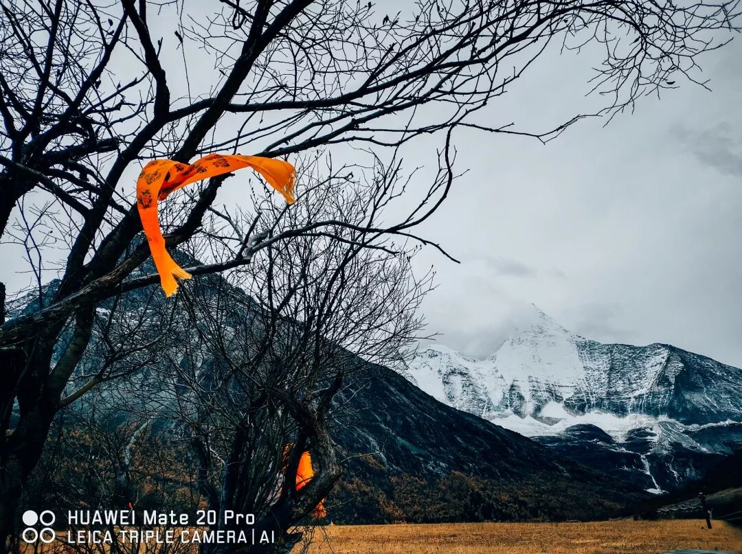 2018，華為手機中的精彩瞬間 科技 第27張