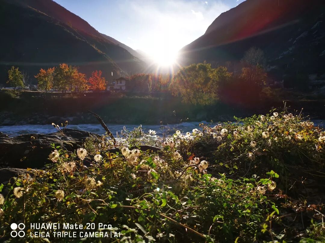 2018，華為手機中的精彩瞬間 科技 第58張