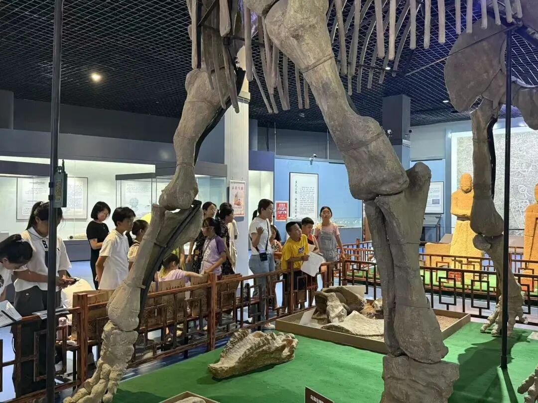 微信图片_20250717163118.jpg