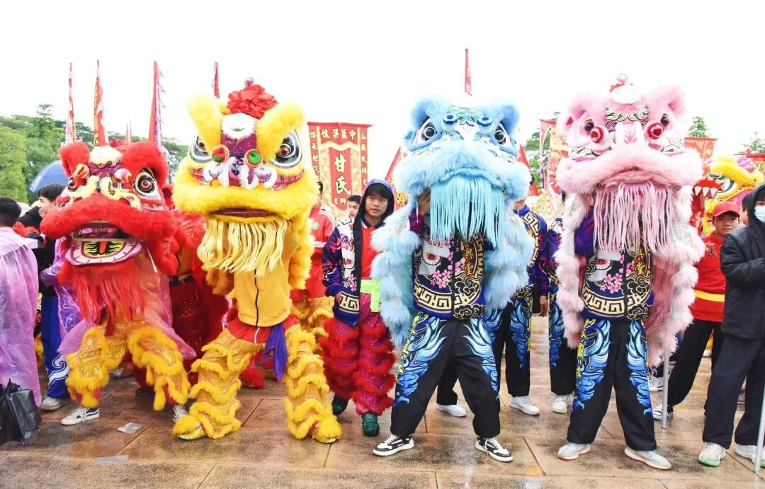 转载百狮巡游闹元宵击鼓催征开新局就在2月24日怀集约定你