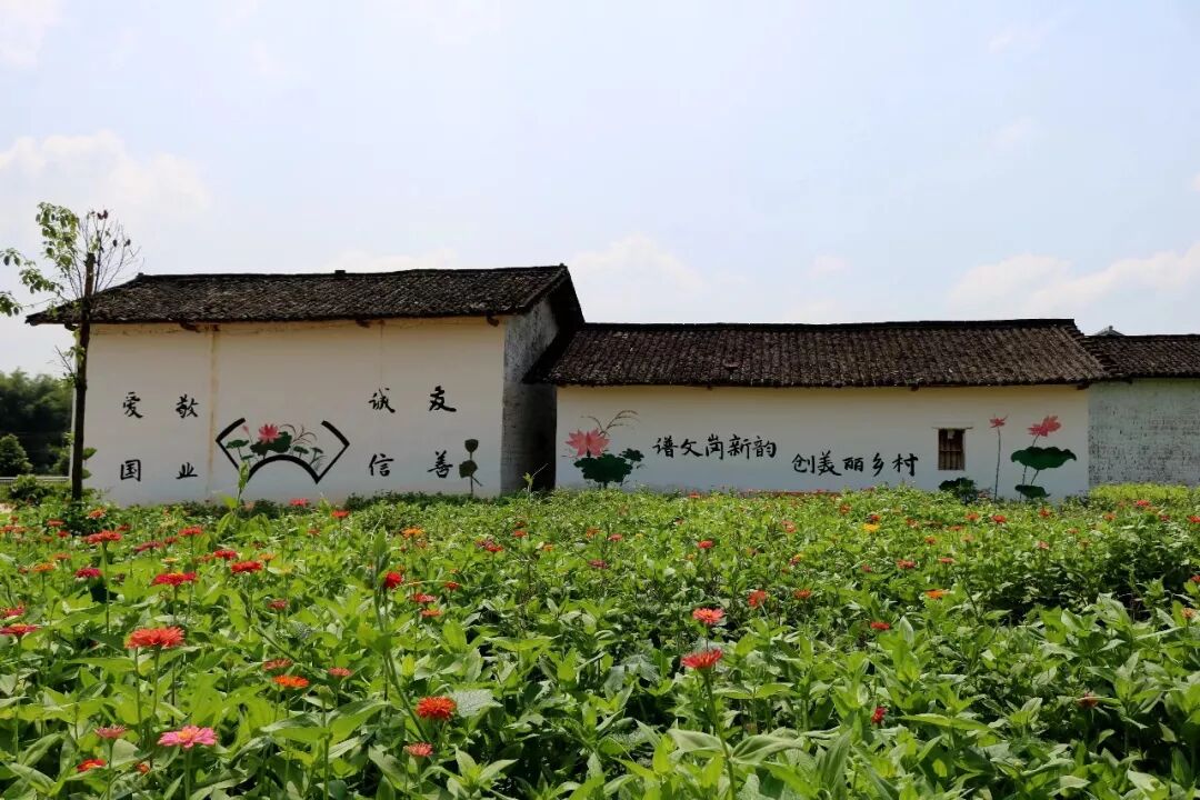 乡村振兴连麦镇新农村建设显成效