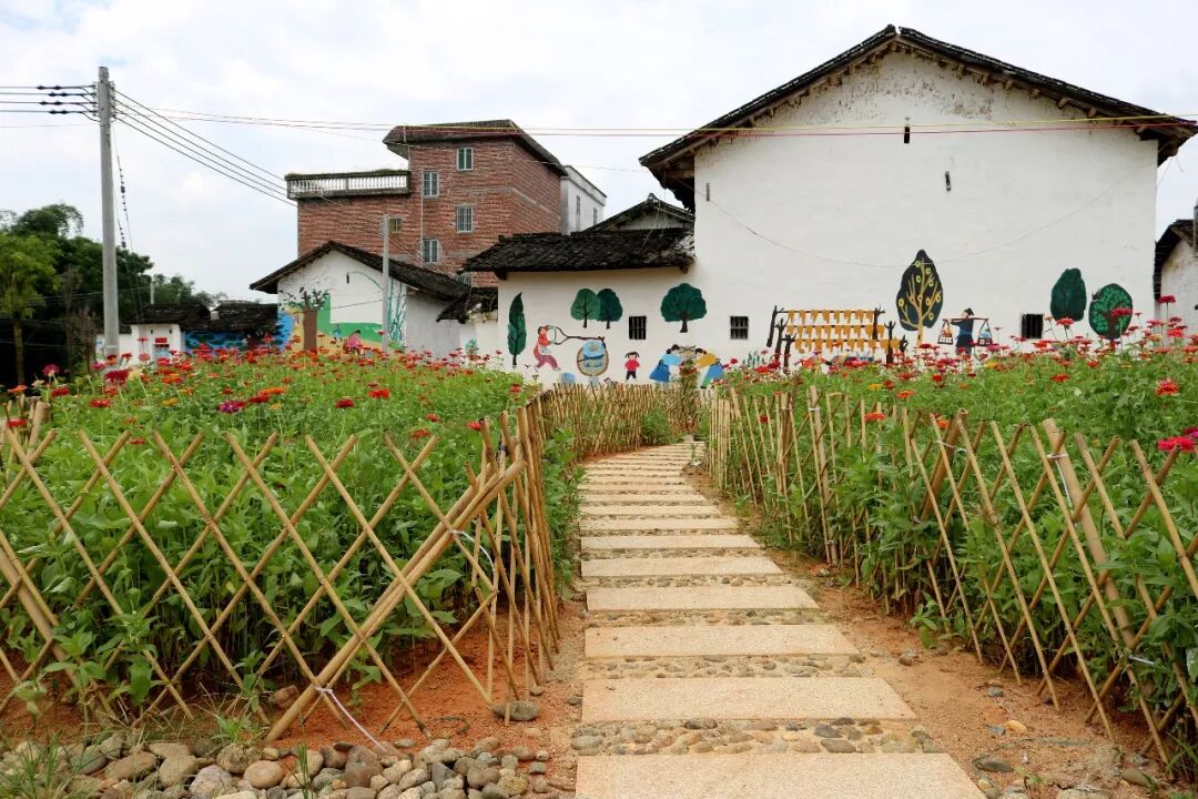 乡村振兴连麦镇新农村建设显成效