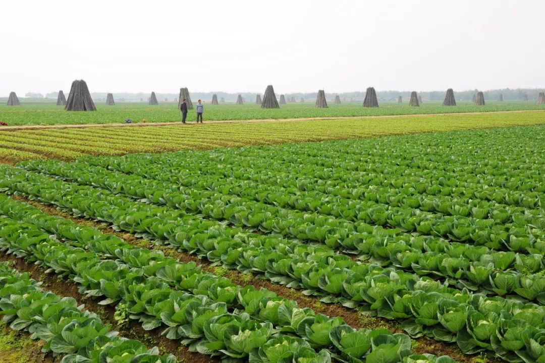 亚博买球网址:肇庆市紧抓珠三角枢纽(广州新)机场战略机遇为粤港澳大湾区“西大门”增潜力 亚博买球网址:肇庆市紧抓珠三角枢纽(广州新)机场战略机遇为粤港澳大湾区“西大门”增潜力