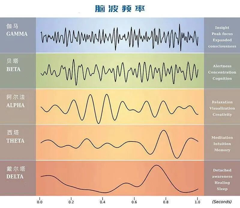 动态脑电图怎么看探索动态视频脑电图——洞察大脑的神秘电波_https://www.jmylbn.com_新闻资讯_第11张