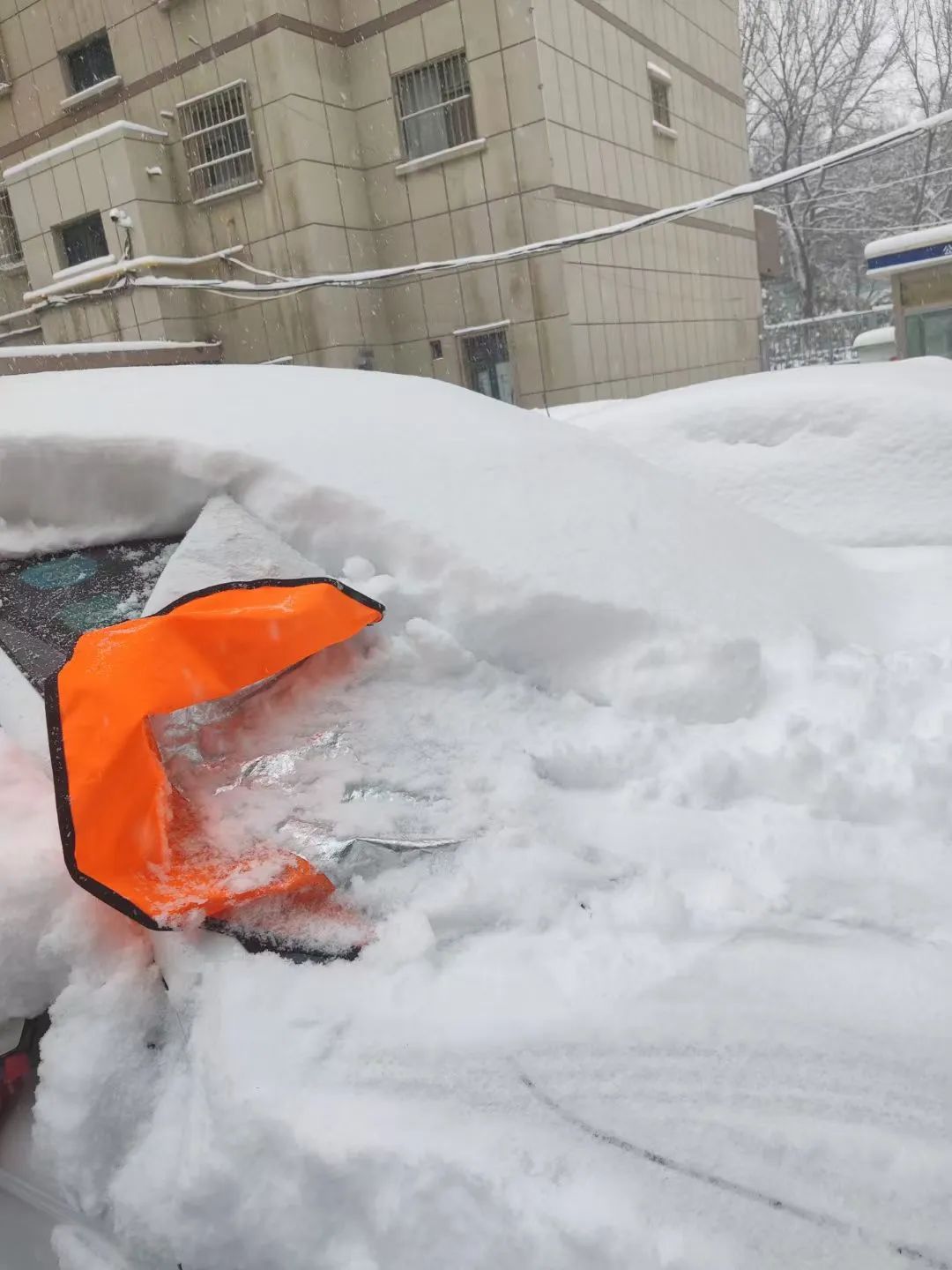 2024年乌鲁木齐的雪夜，是“大雪夜”