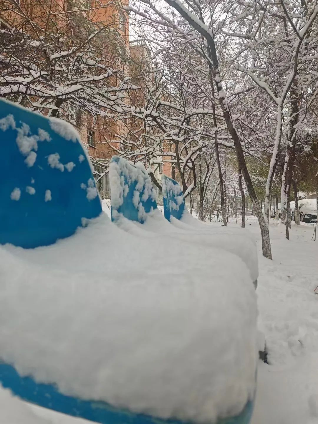 2024年乌鲁木齐的雪夜，是“大雪夜”