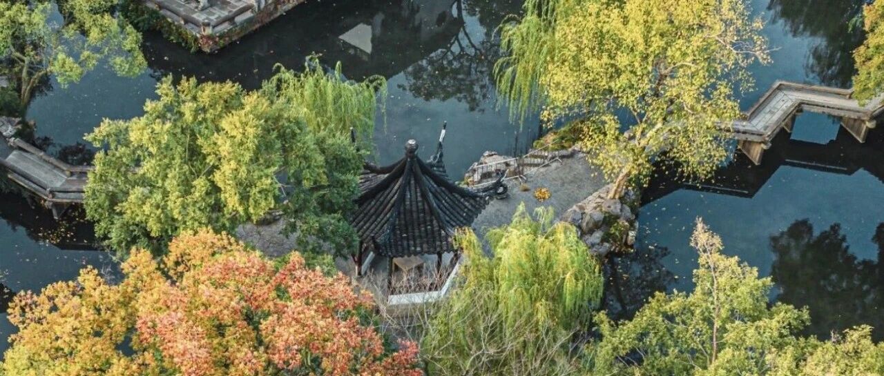 在传承中守正，在发展中精进