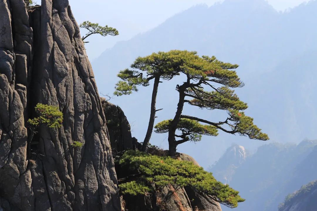 杭州1.5h直達「小九寨」，躺看雲海山色、帶娃住進《臥虎藏龍》的武俠世界，解鎖N種夏天小眾玩法！ 旅遊 第89張