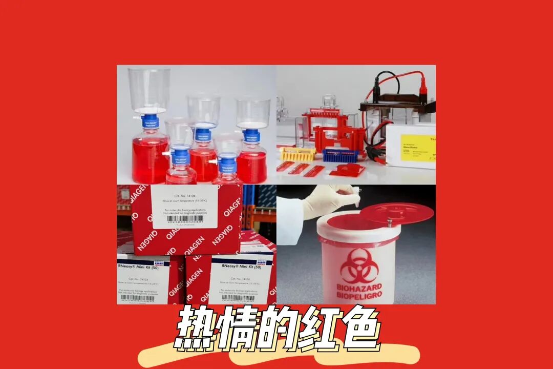 一见你就笑 心动值520%的每天