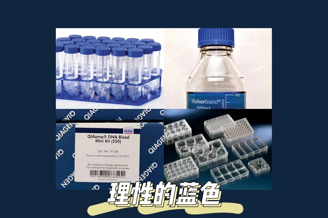 一见你就笑 心动值520%的每天