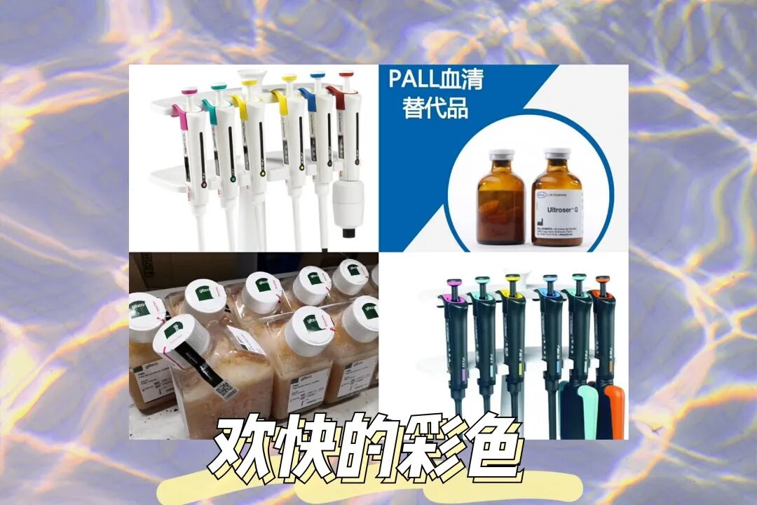 一见你就笑 心动值520%的每天