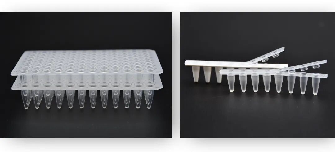 PCR · 耗材篇