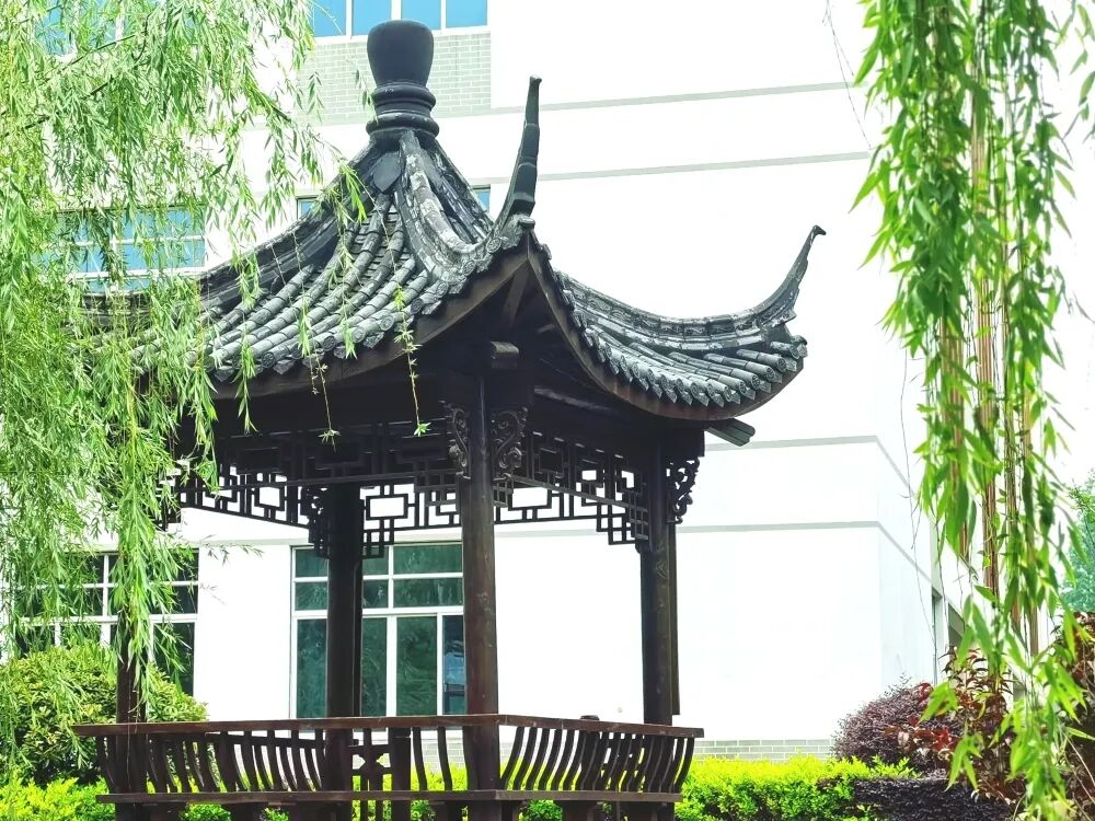 海宁中学2026年代课教师招聘公告