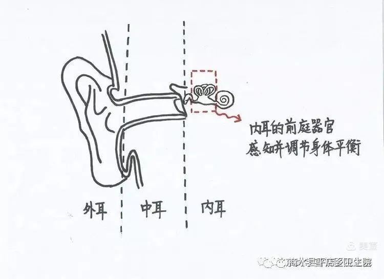 感觉天旋地转是怎么了？