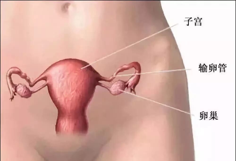 中招没？子宫不好的女人, 身体会发出这7个信号！