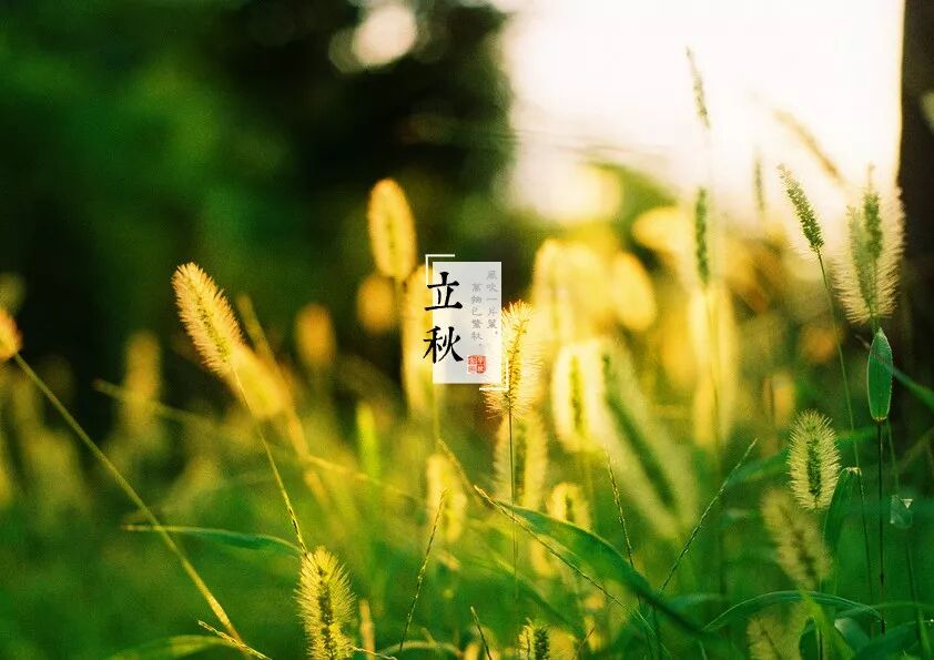 立秋后，宝妈们做到这“三忌三宜”，宝宝脾肺好，还不容易生病！