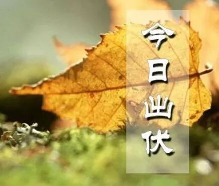 出伏第一天，饮食和生活习惯也要随之调整，保持健康别大意！