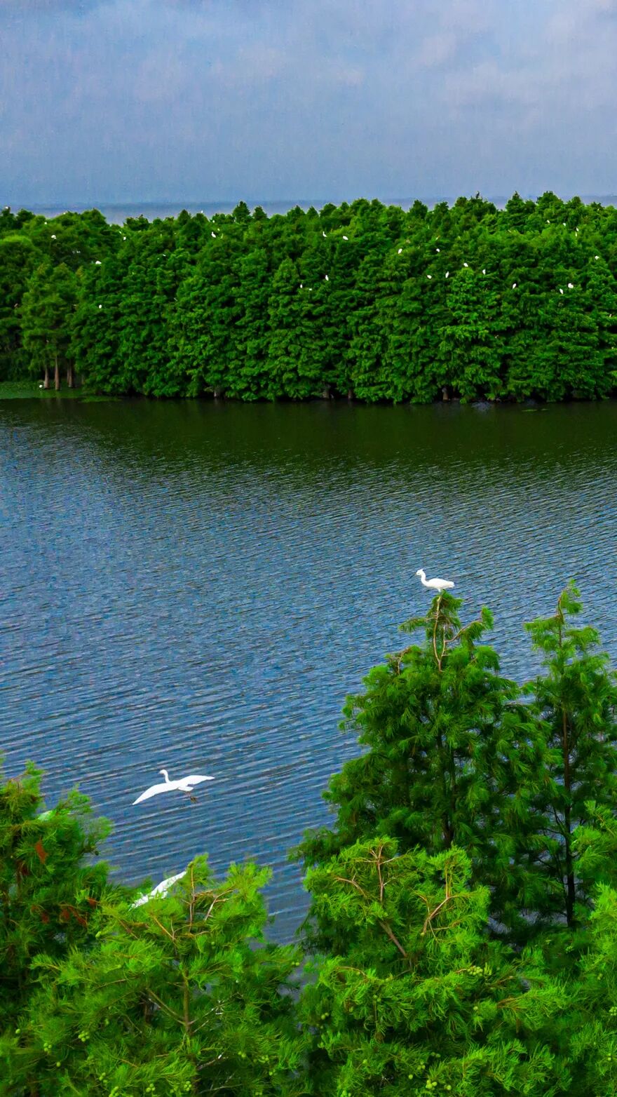 苏州太湖西山岛治愈简约唯美风景手机壁纸快点收藏吧