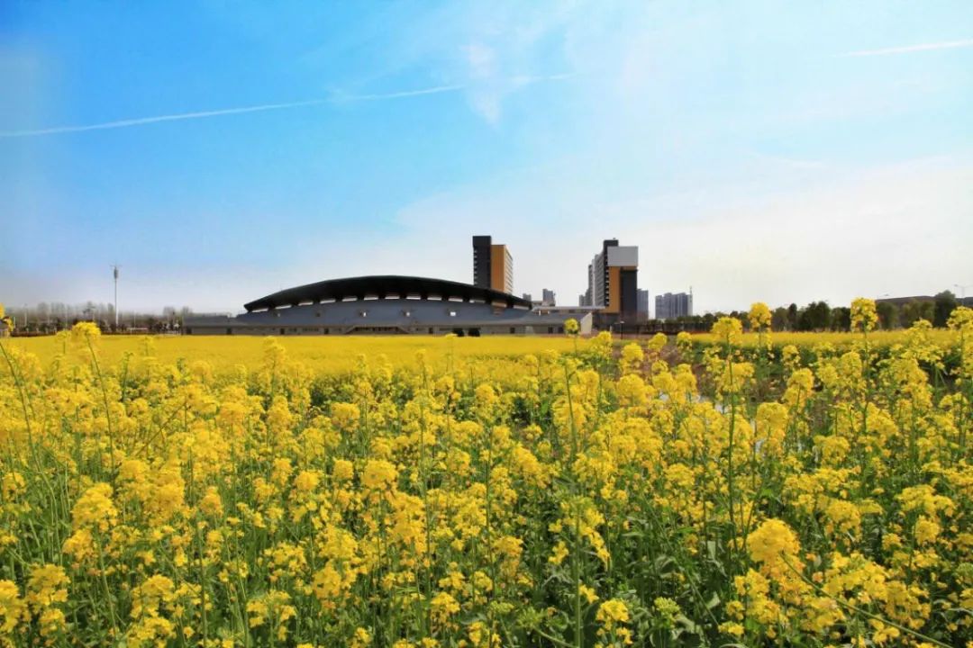 安徽大學(xué)理工學(xué)院_安徽理工大學(xué)怎么樣_安徽大學(xué)理學(xué)院