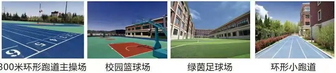 青岛大学招生咨询电话_青岛大学招生办电话号码_青岛大学招生办电话