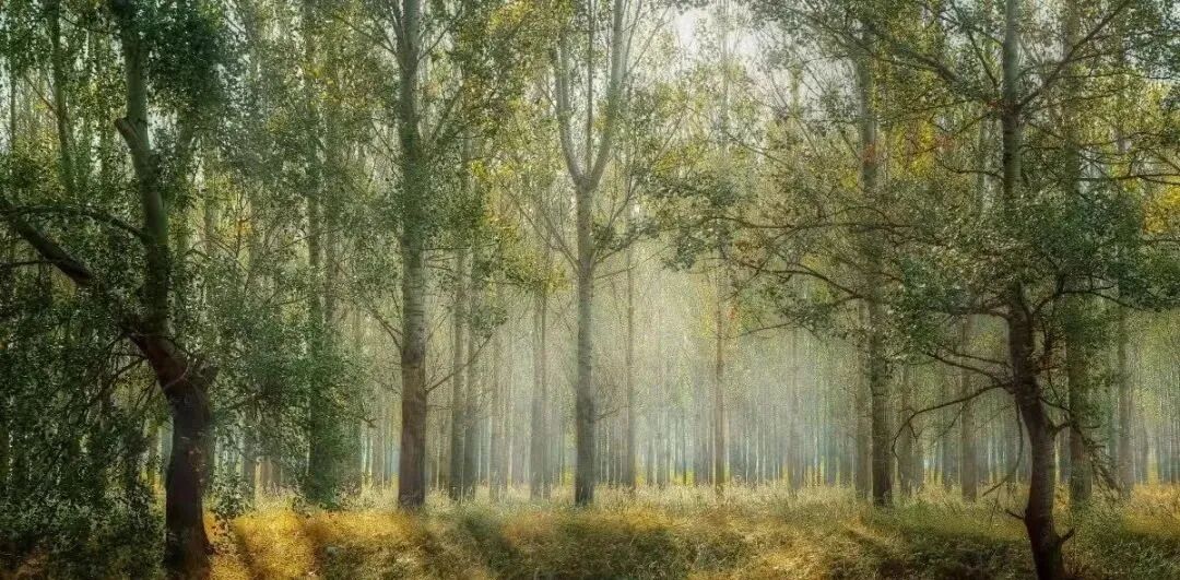 番禺南站 | 越秀·星寰TOD