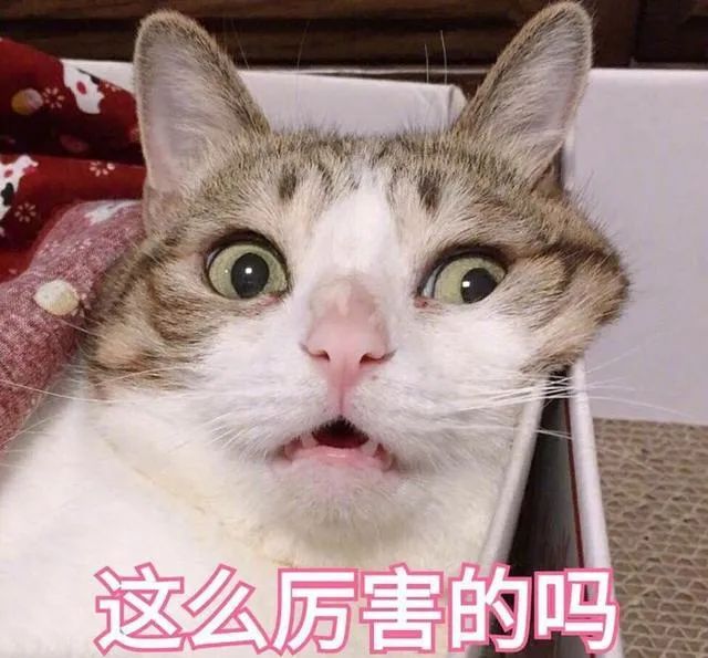 八荒之战高质量攻略！从开局到激战，手把手教你拿前三