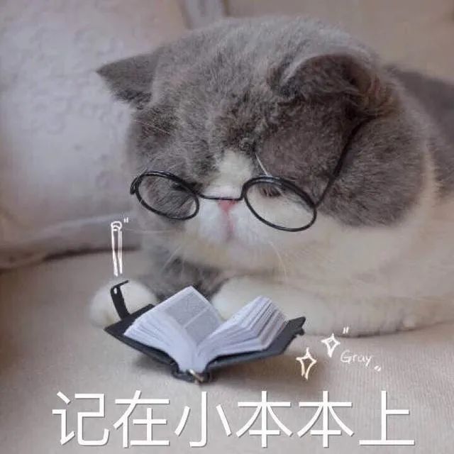 八荒之战高质量攻略！从开局到激战，手把手教你拿前三