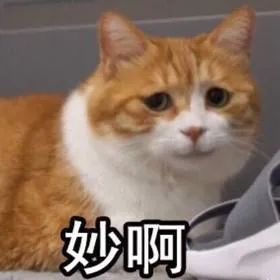 八荒之战高质量攻略！从开局到激战，手把手教你拿前三