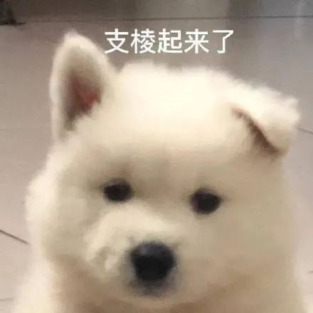 逐鹿未央获胜几率提升90%？三种高阶战术教学，一个字妙！