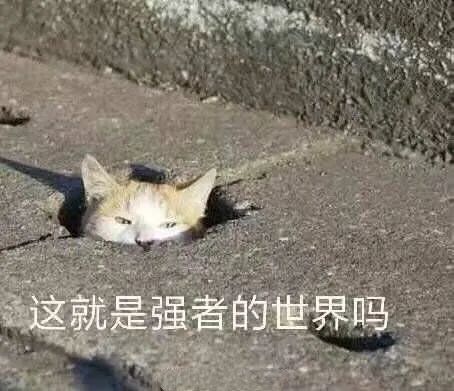 逐鹿未央获胜几率提升90%？三种高阶战术教学，一个字妙！
