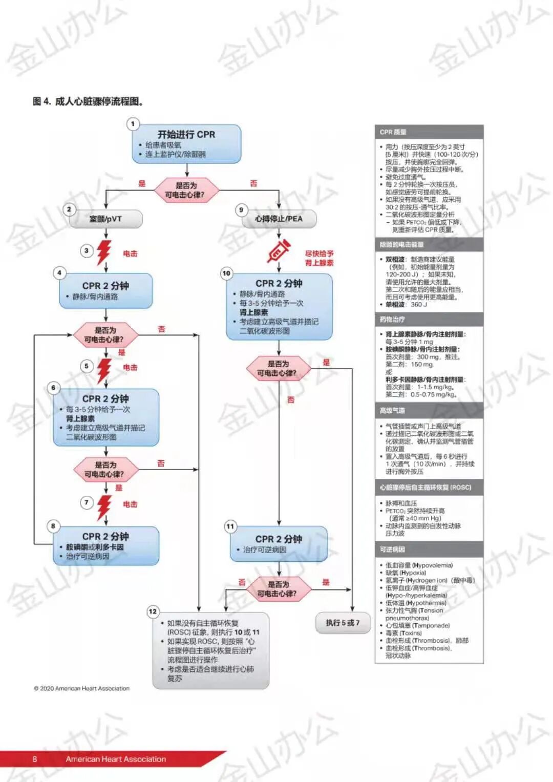 cpr按压板怎么放置关于心肺复苏需要掌握的知识点汇总_https://www.jmylbn.com_新闻资讯_第14张