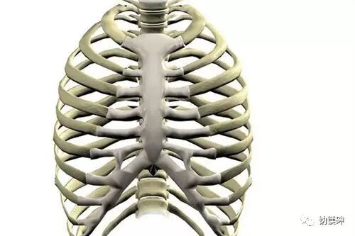 上肢夹板怎么用干货：临床常见各种创伤急救措施_https://www.jmylbn.com_新闻资讯_第33张