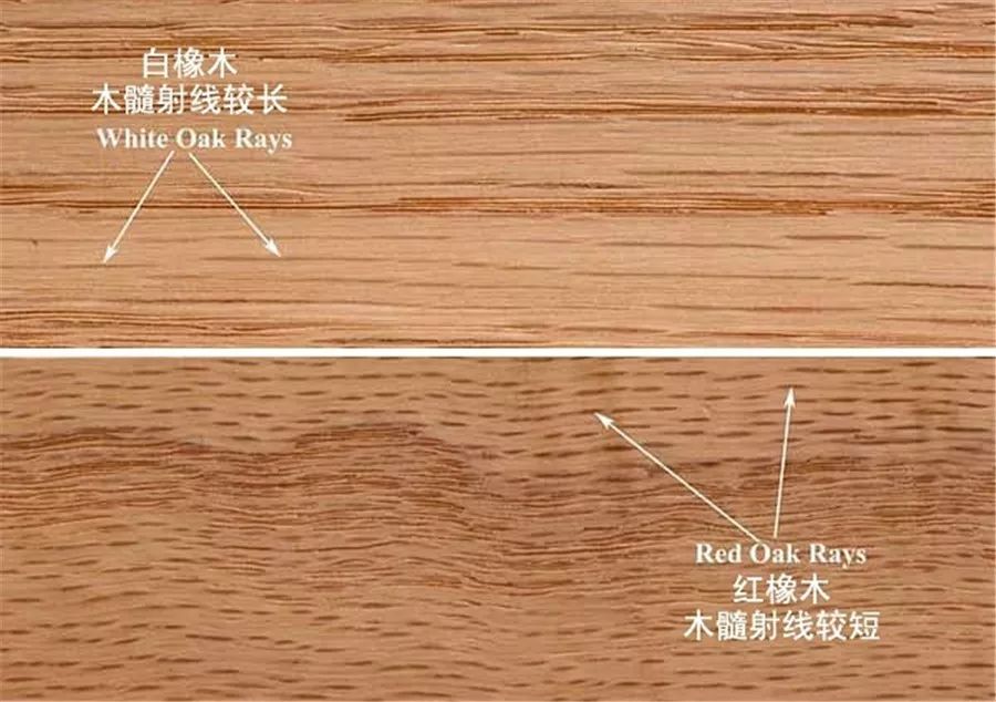 番龍眼和橡木哪個(gè)硬度_生活家地板 番龍眼 狀元紅_番龍眼和白橡木地板哪個(gè)好
