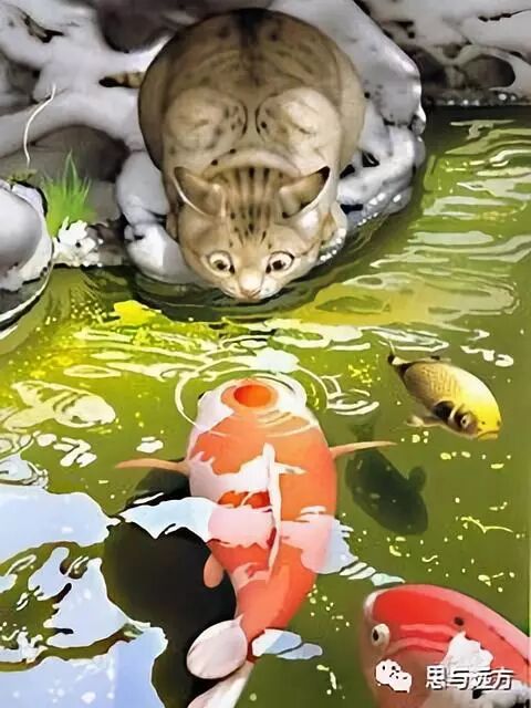 栗梅:猫鱼之恋