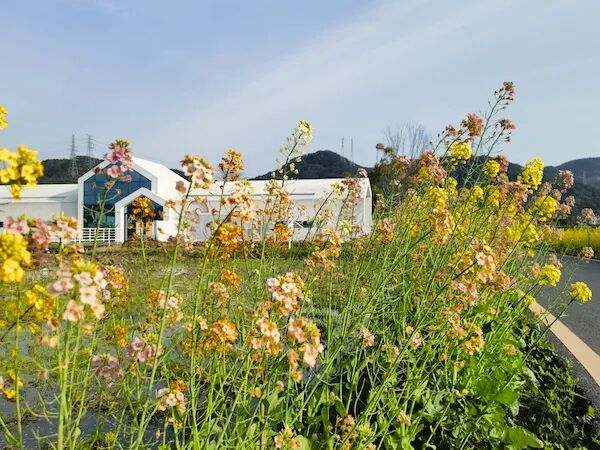 案例丨託普雲辳助(zhu)力(li)綠(lv)色辳(nong)田建設，探索蕭山鄕邨(cun)未來(lai)