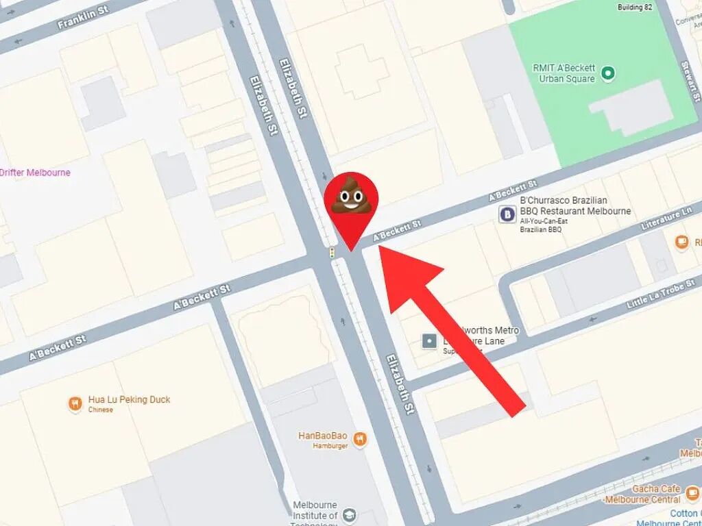 辣眼睛！疑亚裔女子在墨尔本CBD当街排便，网友炸锅（视频/组图） - 4