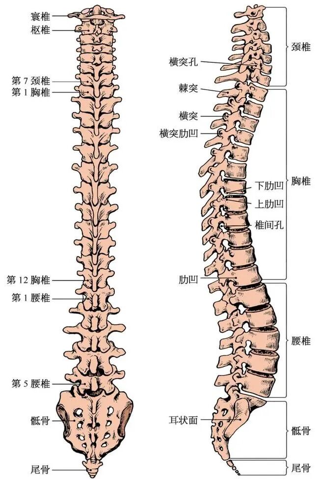 下载.jpg