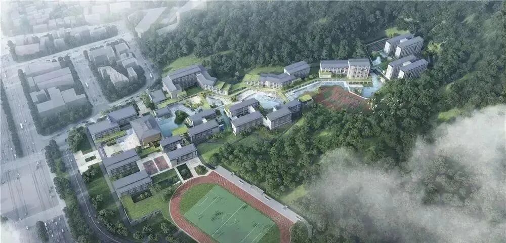 广州在售新盘，有哪些楼盘周边教育比较好？