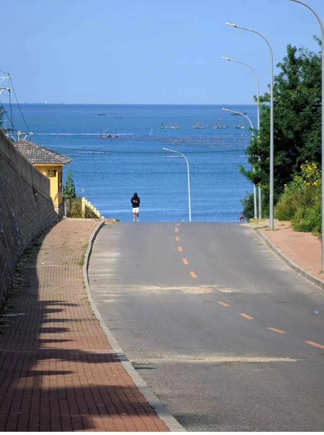 藏不住了大连怎会只有港东五街