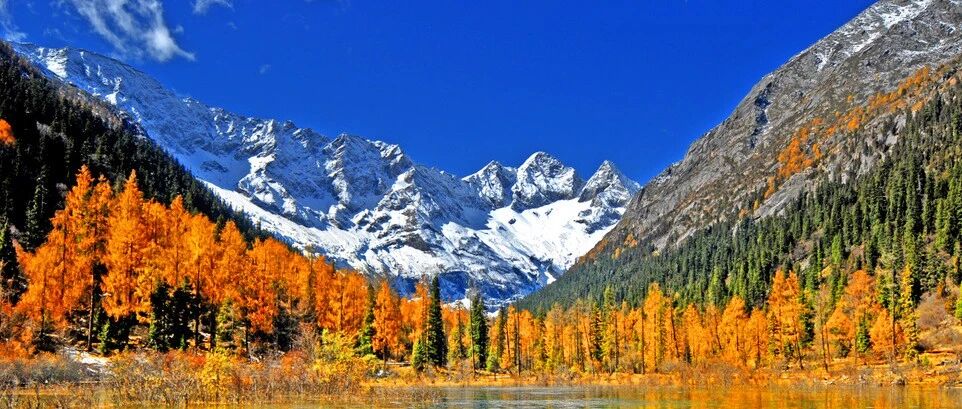 金秋十月，最美不过川西！