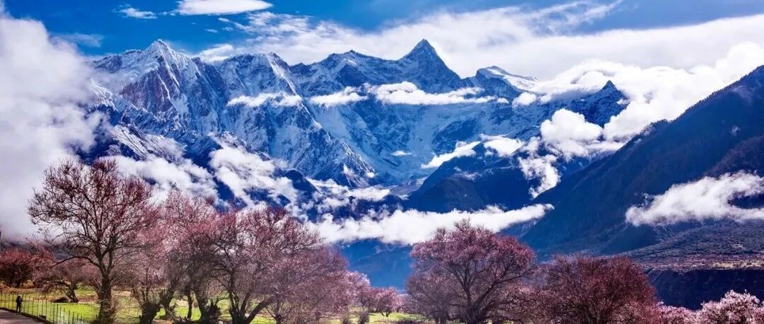 春天，我们一起去林芝看桃花吧！