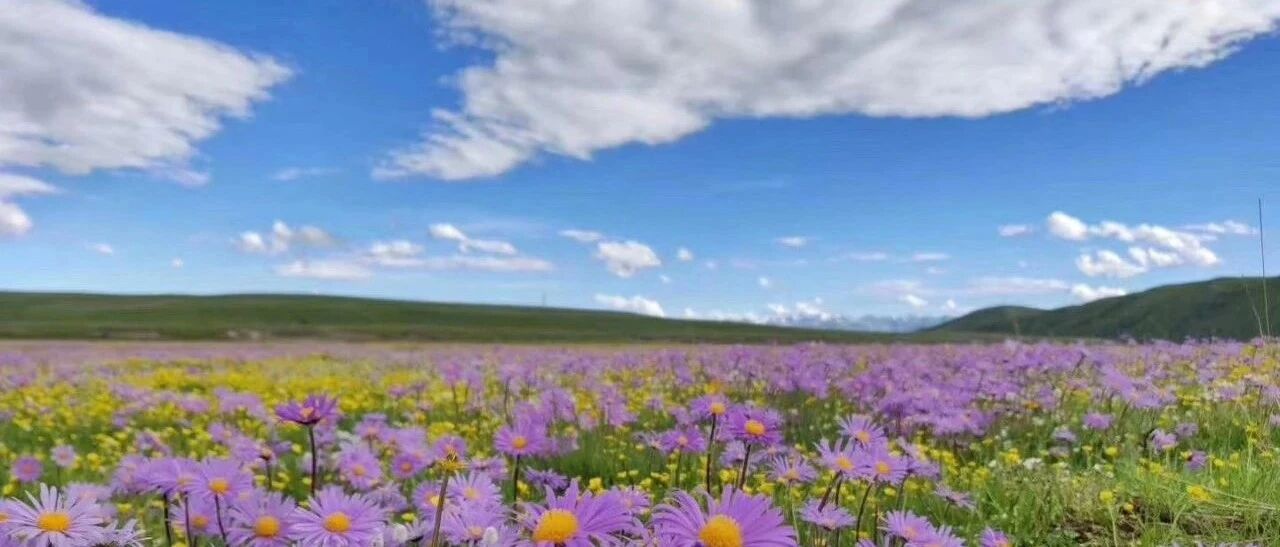 川藏线+青藏线17天大环线拼车！花开半夏，来一场说走就走的旅行